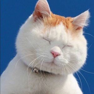 Meet your Posher, May